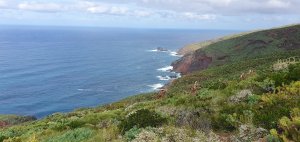 Ausblick bis Garafia